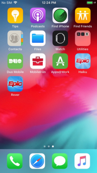 MobileIron apps on an iPhone home screen